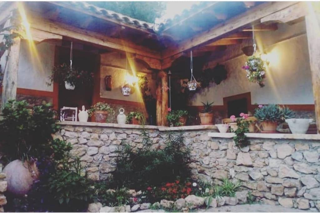 Villa Oasis De Ifre Caserío Cañada de Gallego Exterior foto