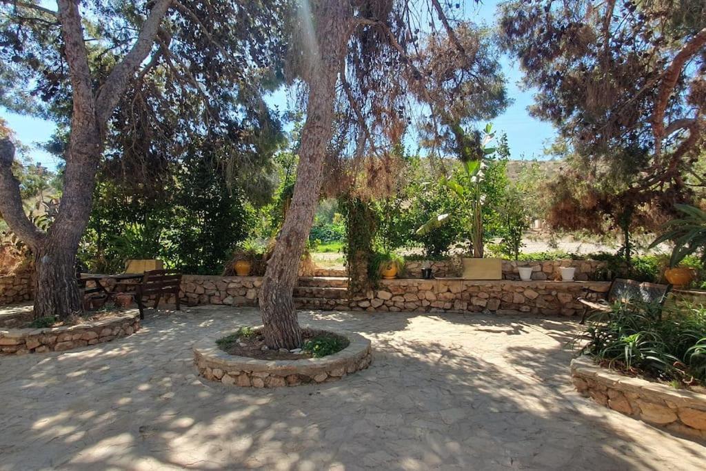 Villa Oasis De Ifre Caserío Cañada de Gallego Exterior foto