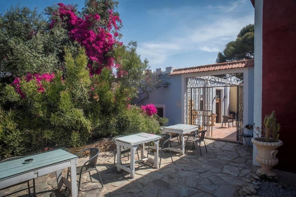 Villa Oasis De Ifre Caserío Cañada de Gallego Exterior foto